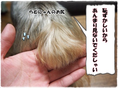 らむ