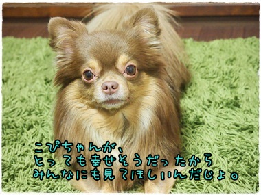 らいむ