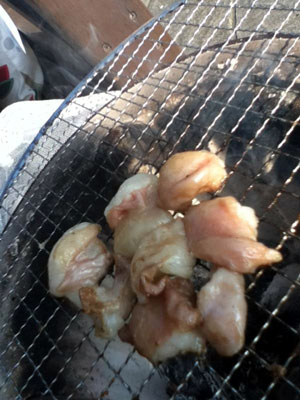 ホルモン