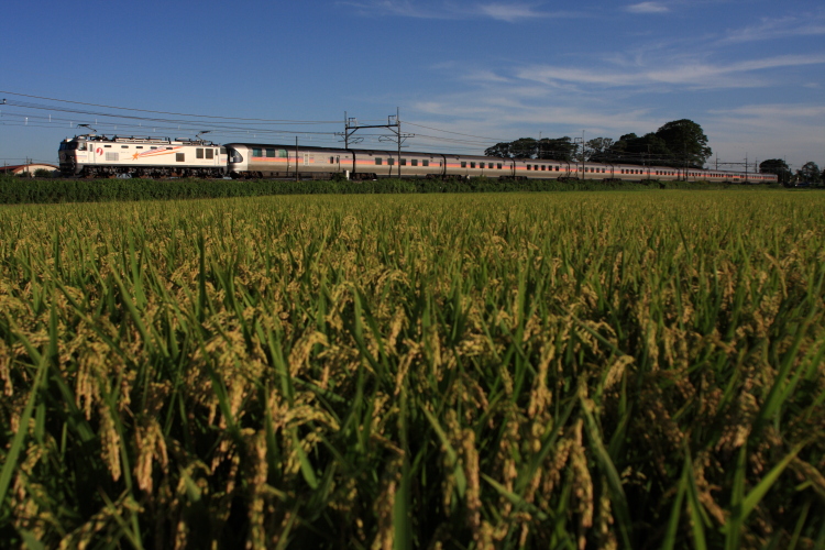 20120831IMG_7205.jpg