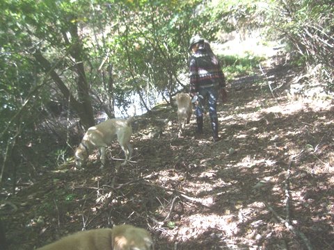 003_20141031205122428.jpg