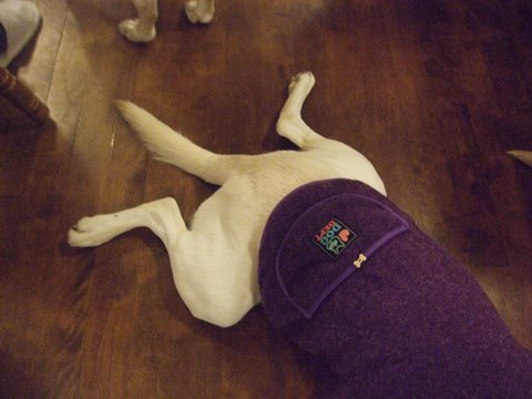 026_20141123193519ab4.jpg