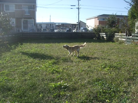 033_201410202023381bf.jpg