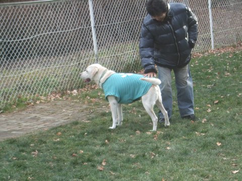 110_2014112519553566f.jpg