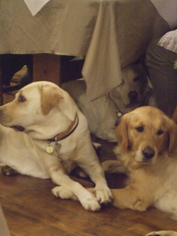 128_201411261124205ac.jpg