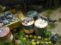 DSCF2690.jpg