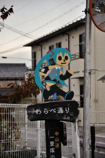DSC_8721_211.jpg