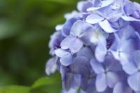 DSC_0046.jpg