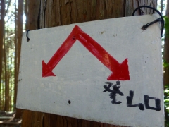 resize14525.jpg