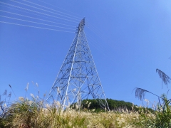 resize14527.jpg