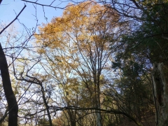 resize14530.jpg