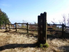 resize14531.jpg