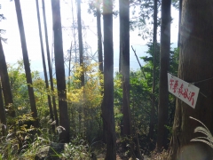 resize14533.jpg