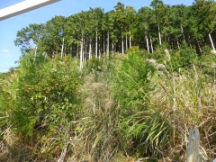 resize14534.jpg