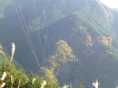 resize14535.jpg