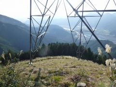 resize14536.jpg
