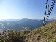 resize14539.jpg
