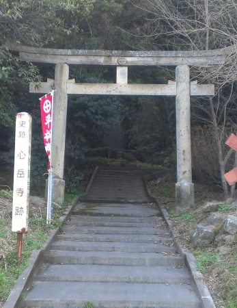 IMAG0556.jpg