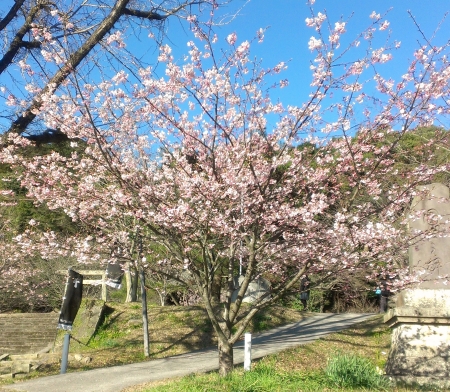 IMAG0559.jpg