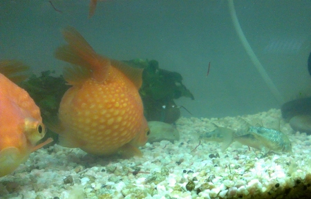 IMAG0569_BURST003.jpg