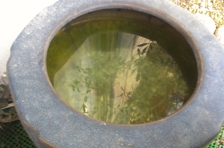 IMAG0642.jpg