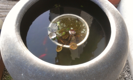 IMAG0643.jpg