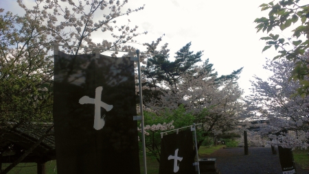 IMAG0655.jpg