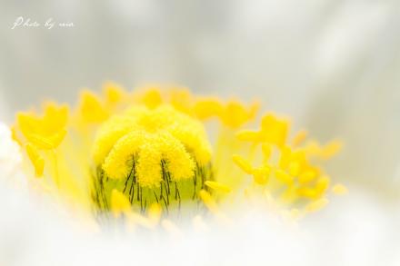 ブログ用IMG_9097_R