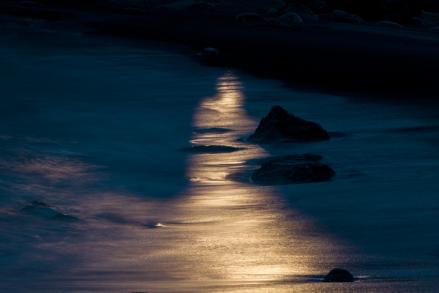 IMG_0303_R.jpg