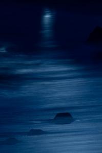 IMG_0308_R.jpg