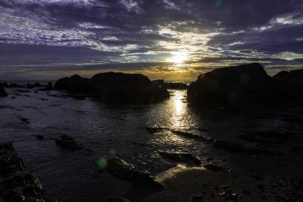 IMG_0688_R.jpg