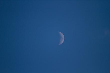 IMG_0714.jpg