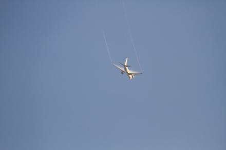 IMG_0735.jpg