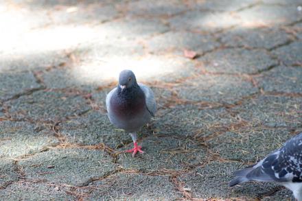 IMG_0826.jpg