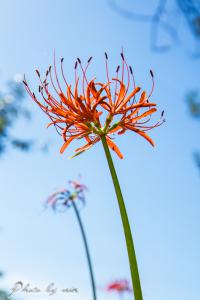 IMG_1088-4.jpg
