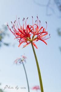 IMG_1088-5.jpg