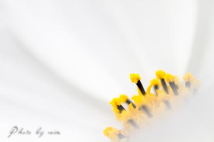 IMG_1278-2.jpg