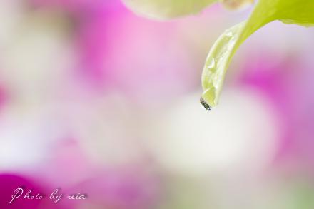IMG_1296-2.jpg