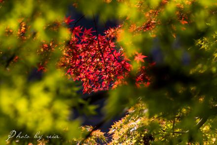 IMG_1351.jpg