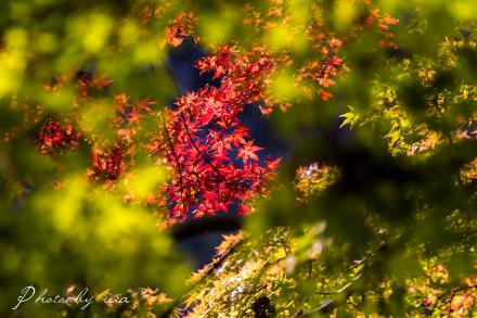 IMG_1354.jpg