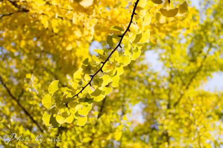 IMG_1414.jpg