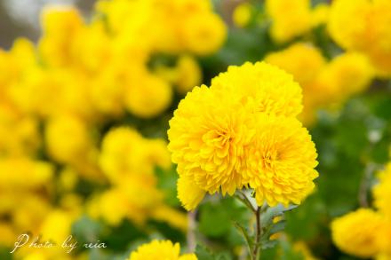 IMG_1867.jpg