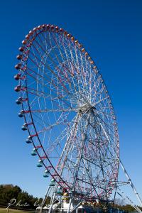 IMG_1913.jpg