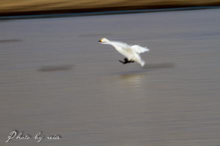 IMG_2221.jpg