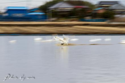IMG_2299.jpg