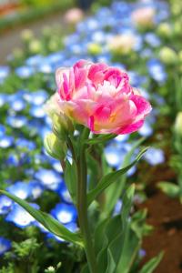 IMG_8635_R.jpg