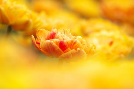 IMG_8696_R.jpg