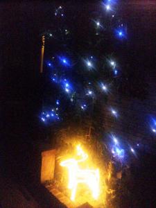DSC_0087_convert_20121203140602.jpg