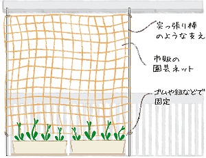 緑のカーテン