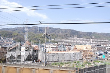 DSC_2401.jpg